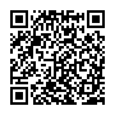 QR code for PNZ383