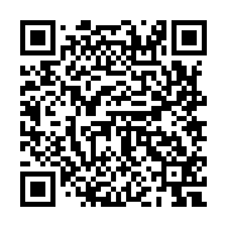 QR code for PNZ913