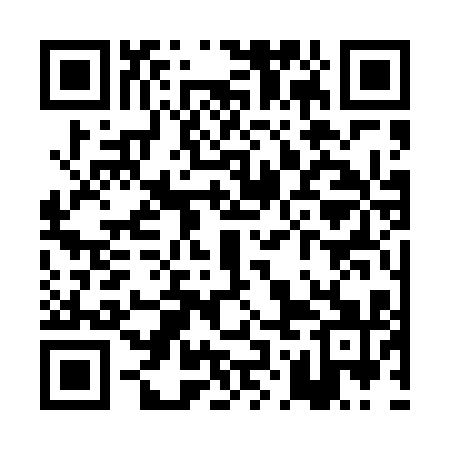 QR code for POC411
