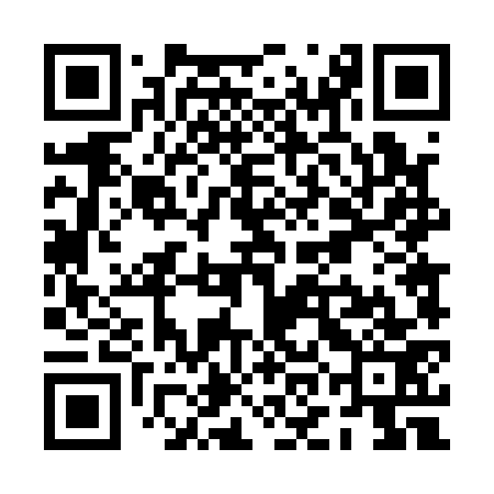 QR code for POD173