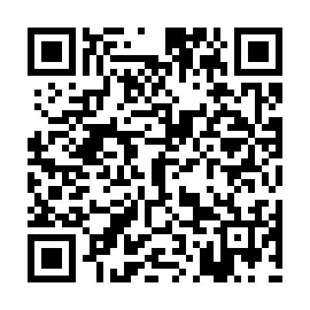 QR code for POI336