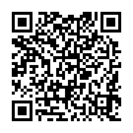 QR code for POI393