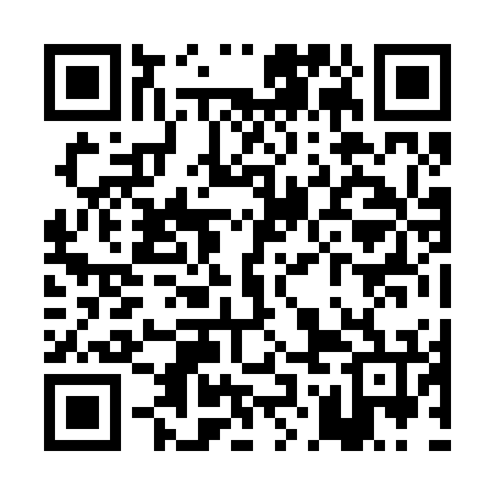 QR code for POJ276