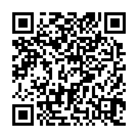 QR code for POJ300