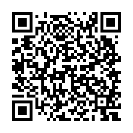 QR code for POJ681