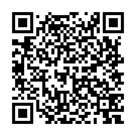 QR code for POJ979