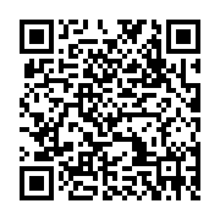 QR code for POL300