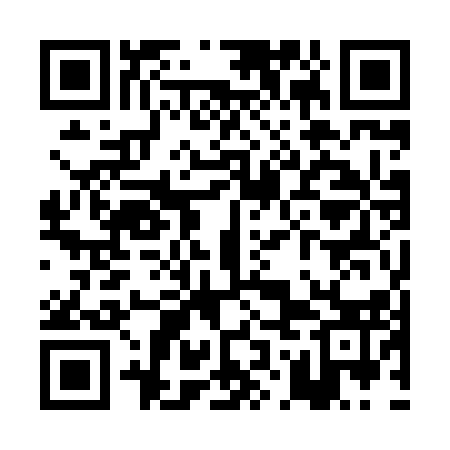 QR code for POO813