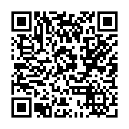 QR code for POO976