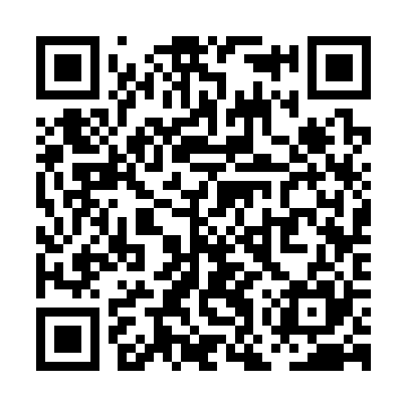 QR code for POS325