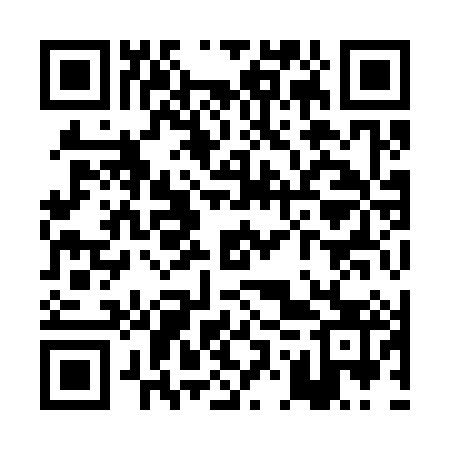 QR code for POY383