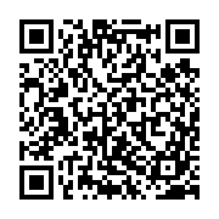 QR code for PPA667