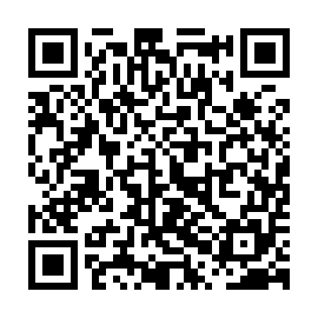 QR code for PPA955
