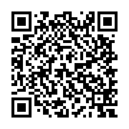 QR code for PPE599