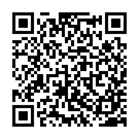 QR code for PPG387