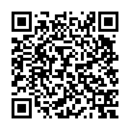QR code for PPG434