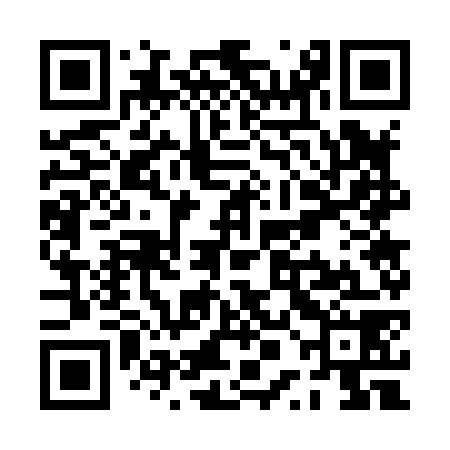 QR code for PPG878