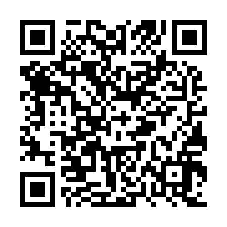QR code for PPG916