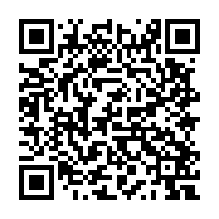 QR code for PPI542