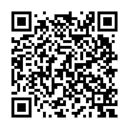QR code for PPI613