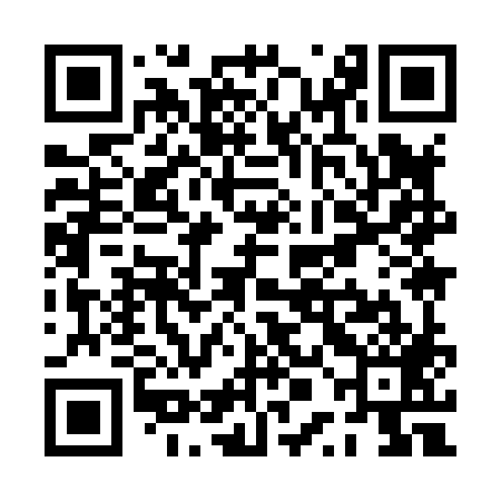 QR code for PPI889