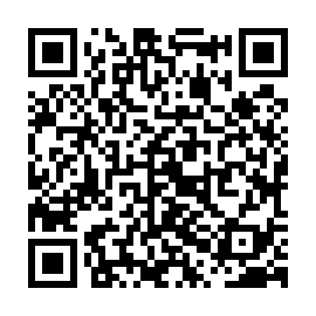 QR code for PPJ539