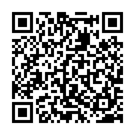 QR code for PPL294