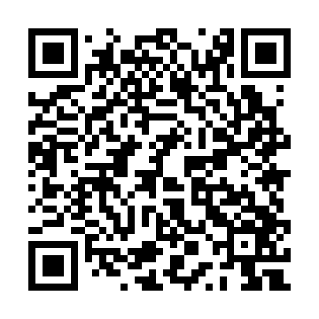 QR code for PPM346