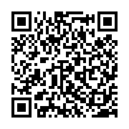 QR code for PPN411