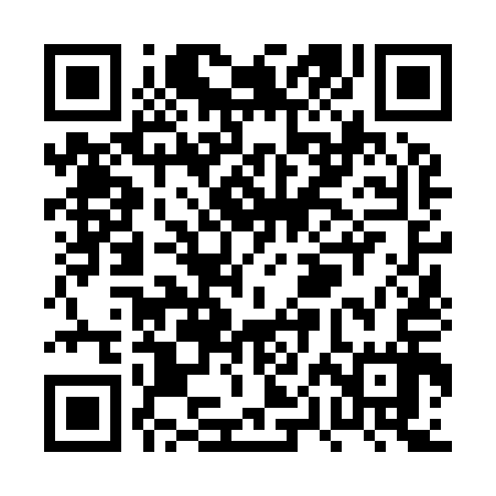 QR code for PPN917