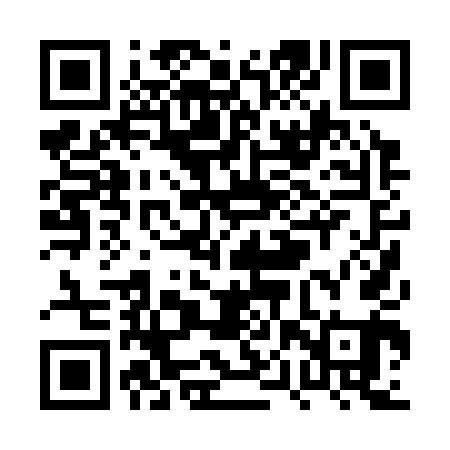 QR code for PPP341