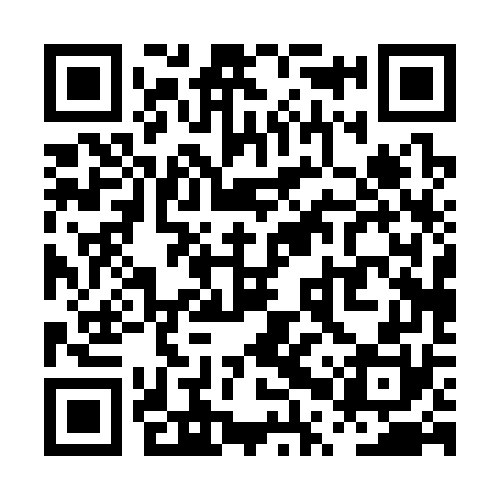 QR code for PPP370
