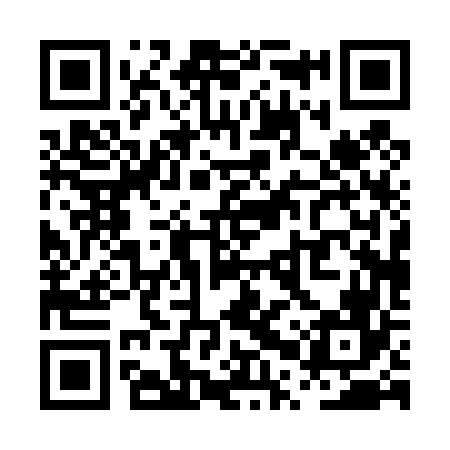 QR code for PPP466