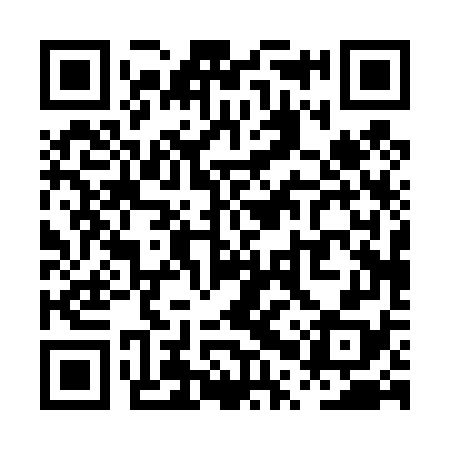 QR code for PPP478