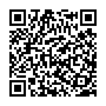 QR code for PPP609