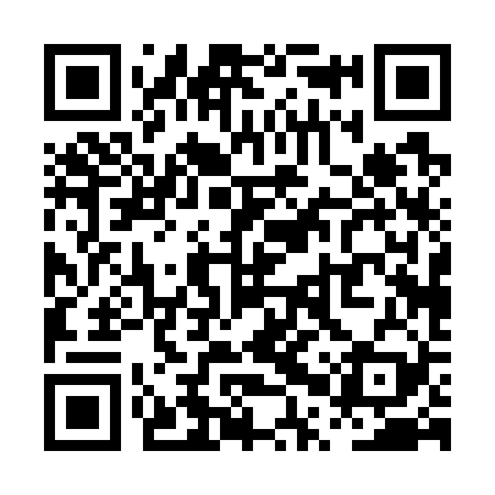 QR code for PPP729