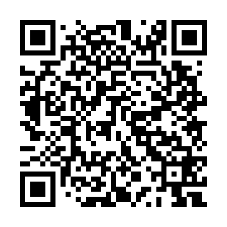 QR code for PPP768