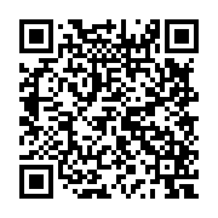 QR code for PPP845