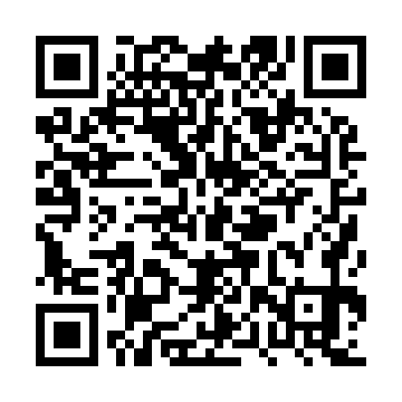 QR code for PPP971