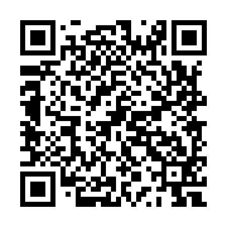 QR code for PPP993