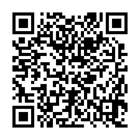 QR code for PPR294