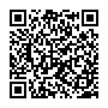 QR code for PPS382