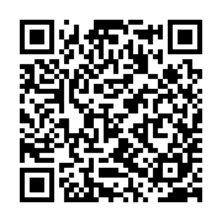 QR code for PPS385