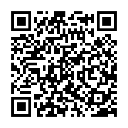 QR code for PPT079