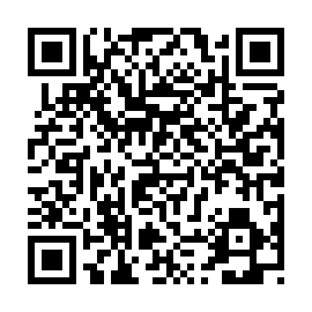 QR code for PPT196