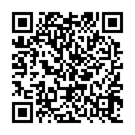 QR code for PPT318
