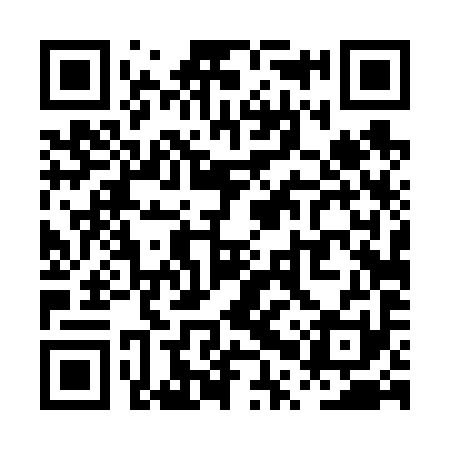 QR code for PPT691