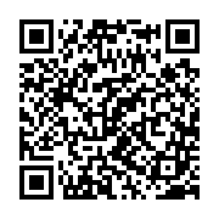 QR code for PPT743