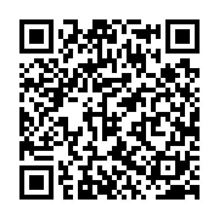 QR code for PPT771