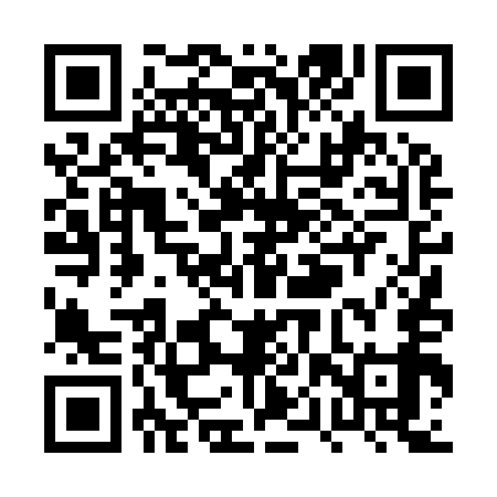 QR code for PPT959